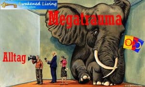 Elefant im Raum Megatrauma