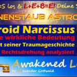 Horoskop Asteroid Narcissus